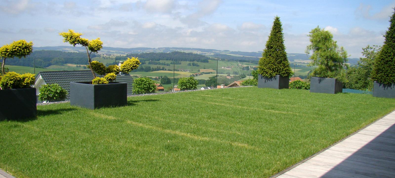 Roof garden with lawn and planters